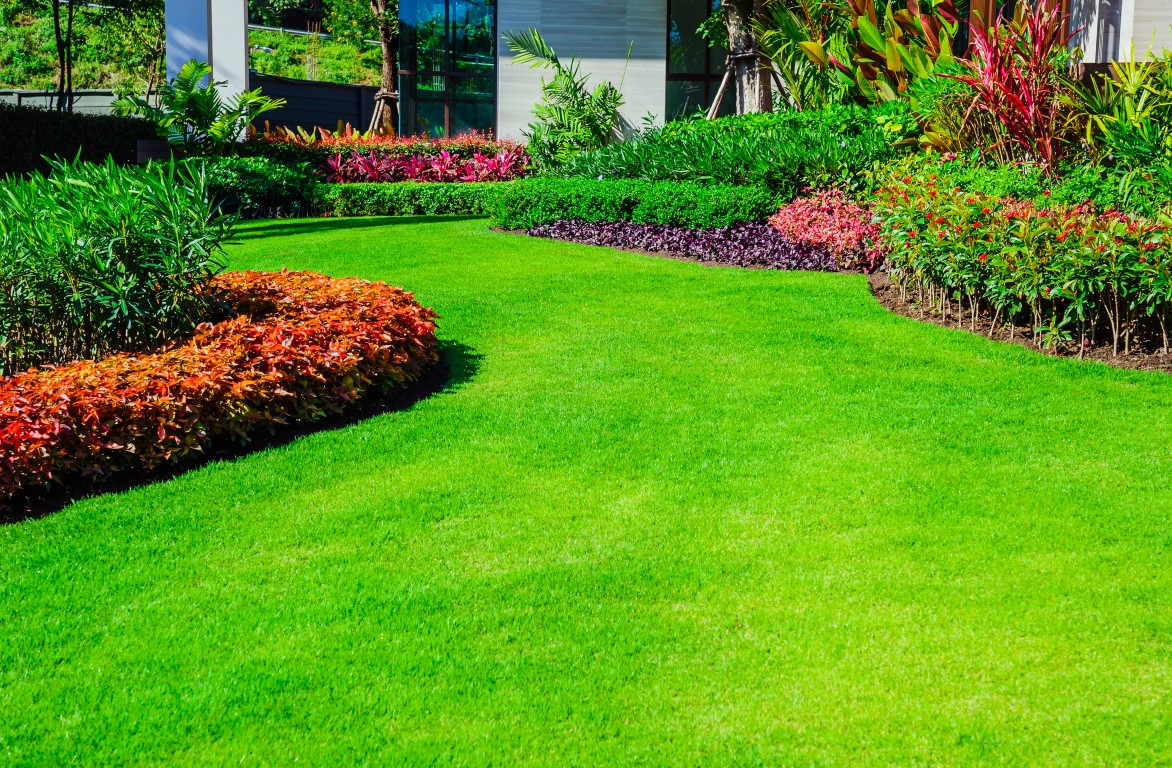 Bespoke Garden Design Services for commercial and residential clients