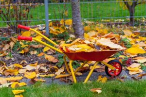 Garden Maintenance Services including leaf removal