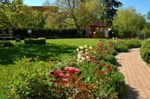 Garden Maintenance Services for commercial grounds